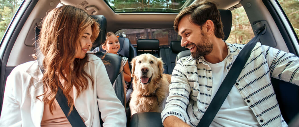 A young family and dog riding in a car